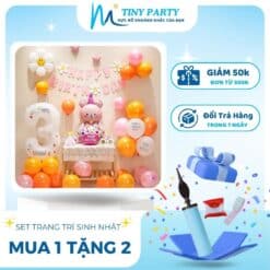 Set trang trí bé gái_TTN3